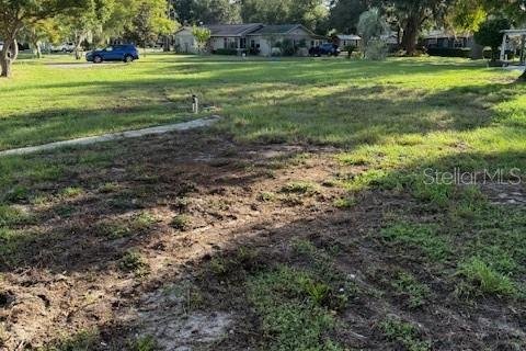 Land in Clermont, Florida № 1651419 - photo 14