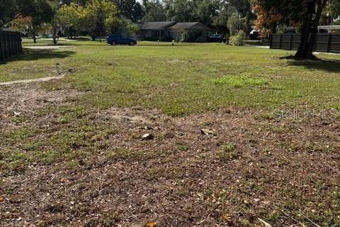 Land in Clermont, Florida № 1651419 - photo 16