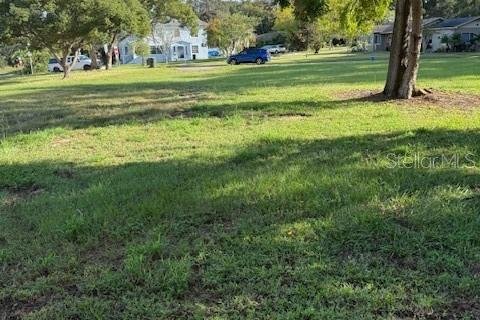 Land in Clermont, Florida № 1651419 - photo 13