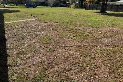 Land in Clermont, Florida № 1651419 - photo 15