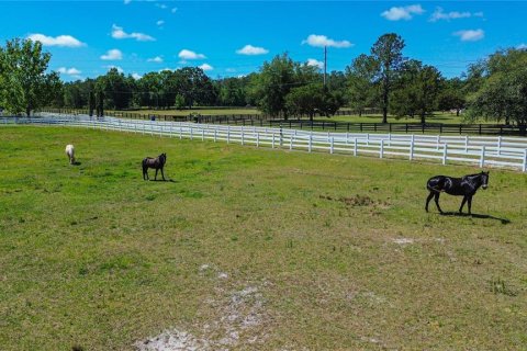 Terreno en venta en Brooksville, Florida № 2195289 - foto 7