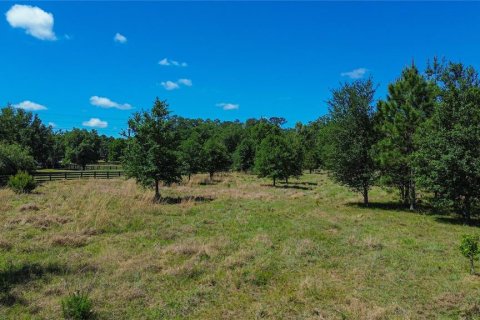 Terreno en venta en Brooksville, Florida № 2195289 - foto 5