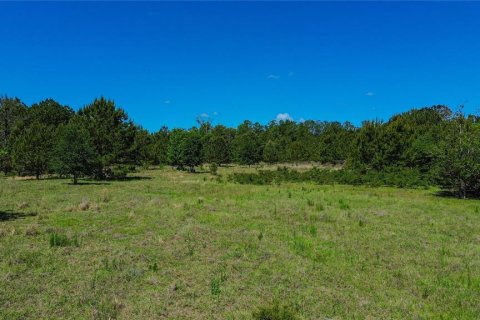 Terreno en venta en Brooksville, Florida № 2195289 - foto 6
