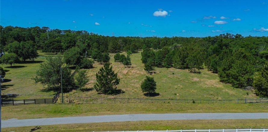 Terreno en Brooksville, Florida № 2195289
