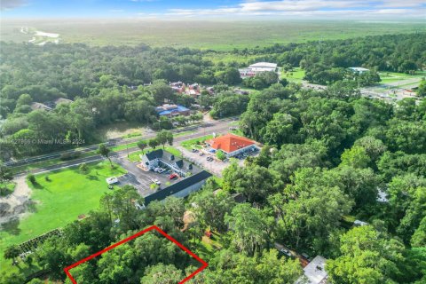 Купить виллу или дом в Гейнсвилл, Флорида 3 спальни, № 1753389 - фото 13