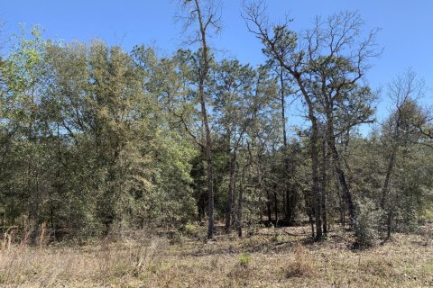 Terreno en venta en Interlachen, Florida № 765364 - foto 1