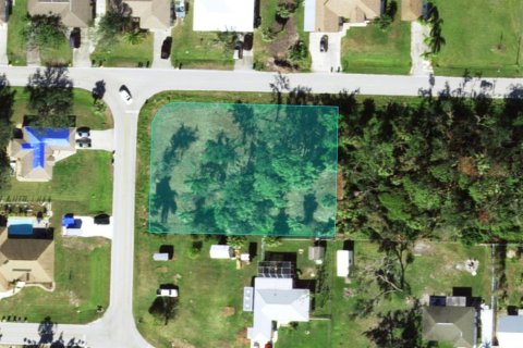 Land in Port Charlotte, Florida № 2165696 - photo 9