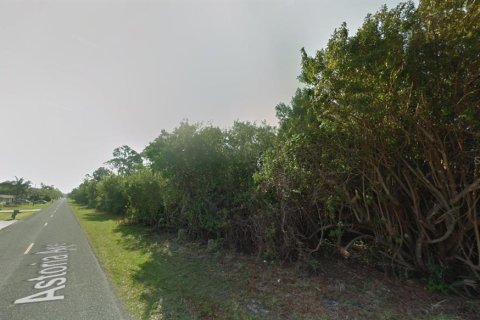 Land in Port Charlotte, Florida № 2165696 - photo 7