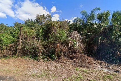 Land in Port Charlotte, Florida № 2165696 - photo 3