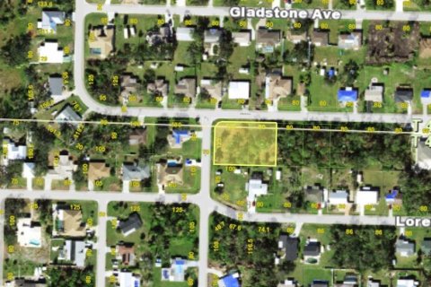 Land in Port Charlotte, Florida № 2165696 - photo 10