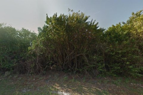 Land in Port Charlotte, Florida № 2165696 - photo 8