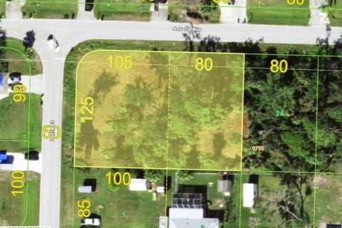 Land in Port Charlotte, Florida № 2165696