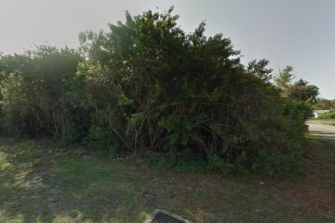 Land in Port Charlotte, Florida № 2165696 - photo 4