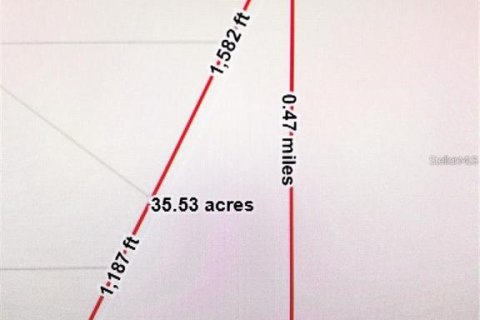 Terreno en venta en Perry, Florida № 1840440 - foto 4