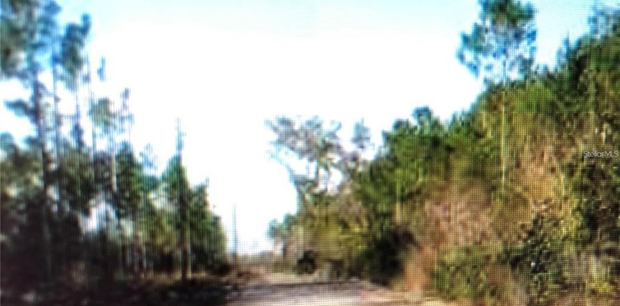 Terreno en Perry, Florida № 1840440