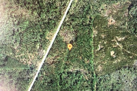 Terreno en venta en Perry, Florida № 1840440 - foto 3