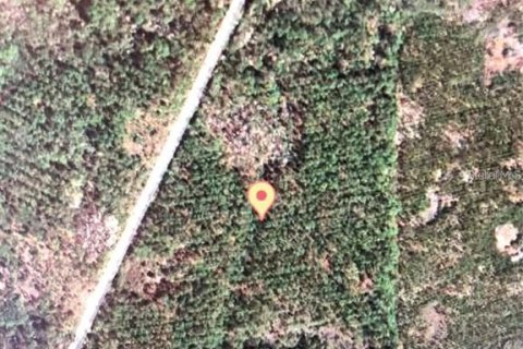Terreno en venta en Perry, Florida № 1840440 - foto 5