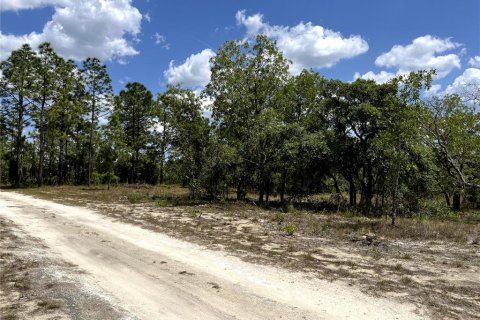 Terrain à vendre à Dunnellon, Floride № 1767008 - photo 6