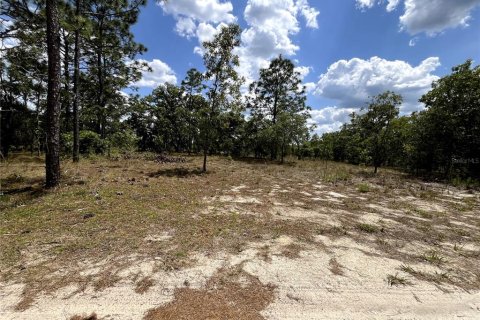 Terrain à vendre à Dunnellon, Floride № 1767008 - photo 10