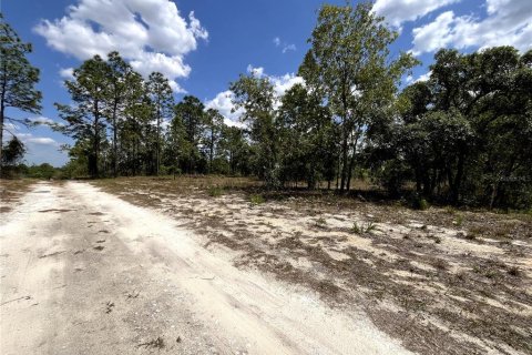 Terrain à vendre à Dunnellon, Floride № 1767008 - photo 8