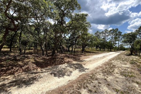 Terrain à vendre à Dunnellon, Floride № 1767008 - photo 5