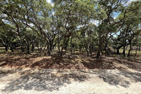 Terrain à vendre à Dunnellon, Floride № 1767008 - photo 4