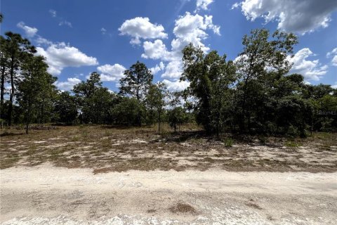 Terrain à vendre à Dunnellon, Floride № 1767008 - photo 9