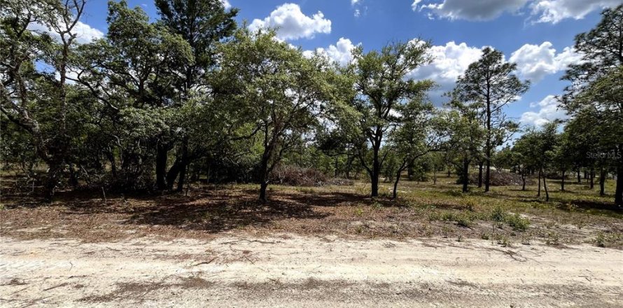 Terrain à Dunnellon, Floride № 1767008