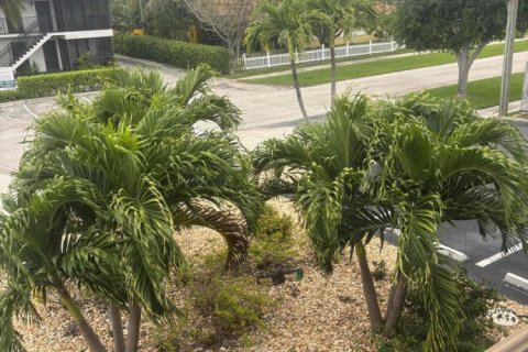 Apartment in Boca Raton, Florida 1 bedroom, 507.25 sq.m. № 2187454 - photo 17