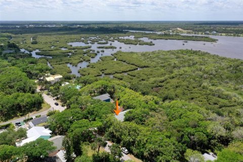 House in Flagler Beach, Florida 2 bedrooms, 131.18 sq.m. № 2100481 - photo 28