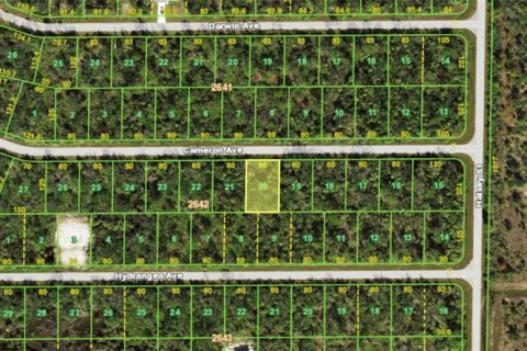 Land in Port Charlotte, Florida № 2213755 - photo 2