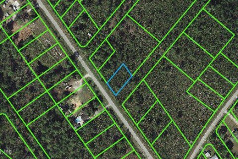 Land in Lake Placid, Florida № 2161107