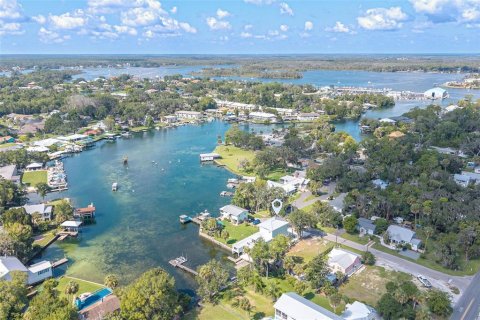 House in Crystal River, Florida 5 bedrooms, 302.03 sq.m. № 1916564 - photo 17
