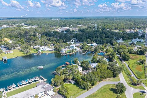 House in Crystal River, Florida 5 bedrooms, 302.03 sq.m. № 1916564 - photo 19