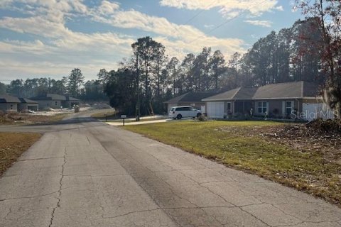 Land in Ocala, Florida № 1843163 - photo 6