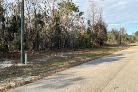 Land in Ocala, Florida № 1843163 - photo 3