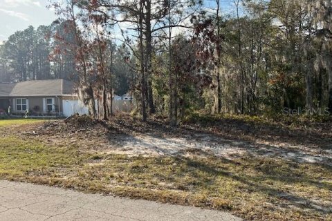 Land in Ocala, Florida № 1843163 - photo 1