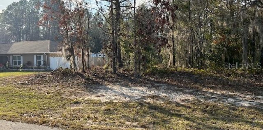 Land in Ocala, Florida № 1843163