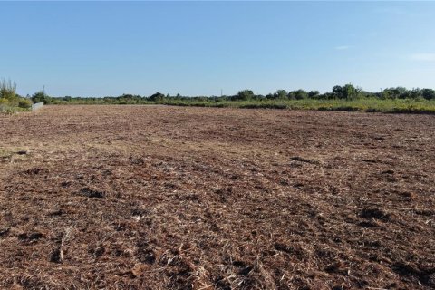 Terreno en Okeechobee, Florida № 2150988