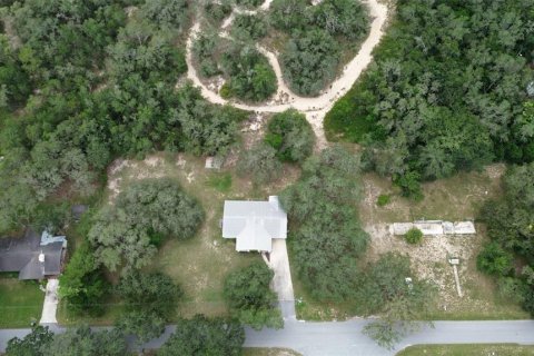 Land in Lake Wales, Florida № 1219758 - photo 5