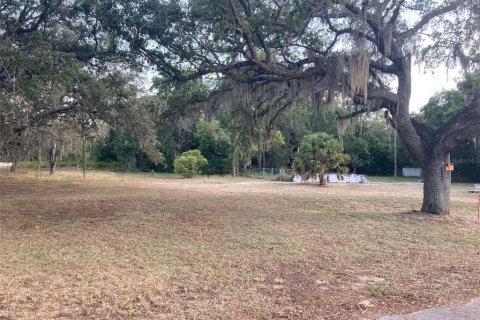 Land in Lake Wales, Florida № 1219758 - photo 1