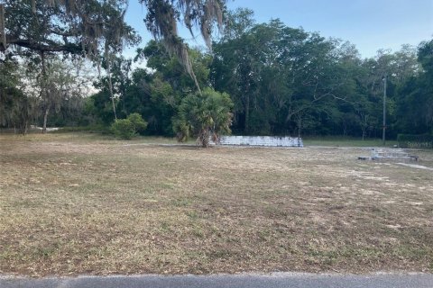 Land in Lake Wales, Florida № 1219758 - photo 2