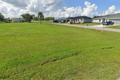 Land in Punta Gorda, Florida № 1614217 - photo 3
