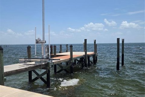 Land in Saint Petersburg, Florida № 1787551 - photo 6