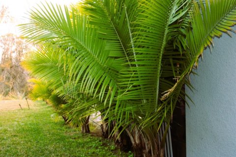 Casa en venta en Parrish, Florida, 4 dormitorios, 203.83 m2 № 2206100 - foto 16