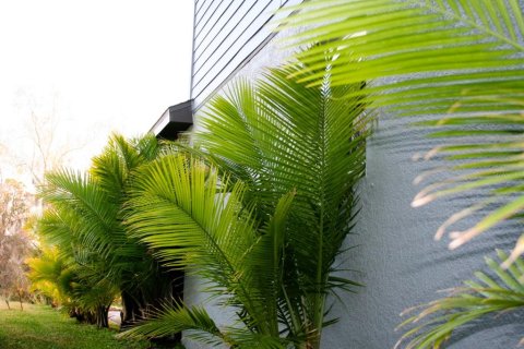 Casa en venta en Parrish, Florida, 4 dormitorios, 203.83 m2 № 2206100 - foto 15