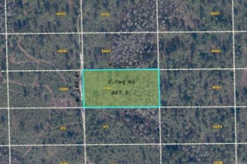 Land in Orlando, Florida № 2217890