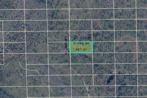Land in Orlando, Florida № 2217890 - photo 3