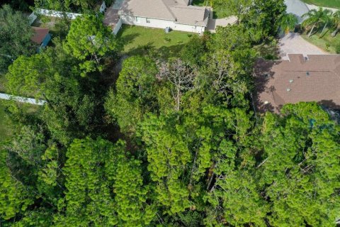 Terreno en venta en Palm Coast, Florida № 1688470 - foto 3