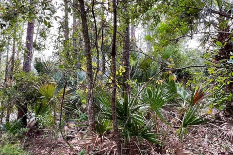 Terreno en venta en Palm Coast, Florida № 1688470 - foto 15